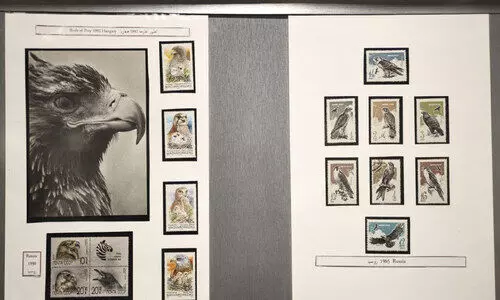 exhibition exhibition