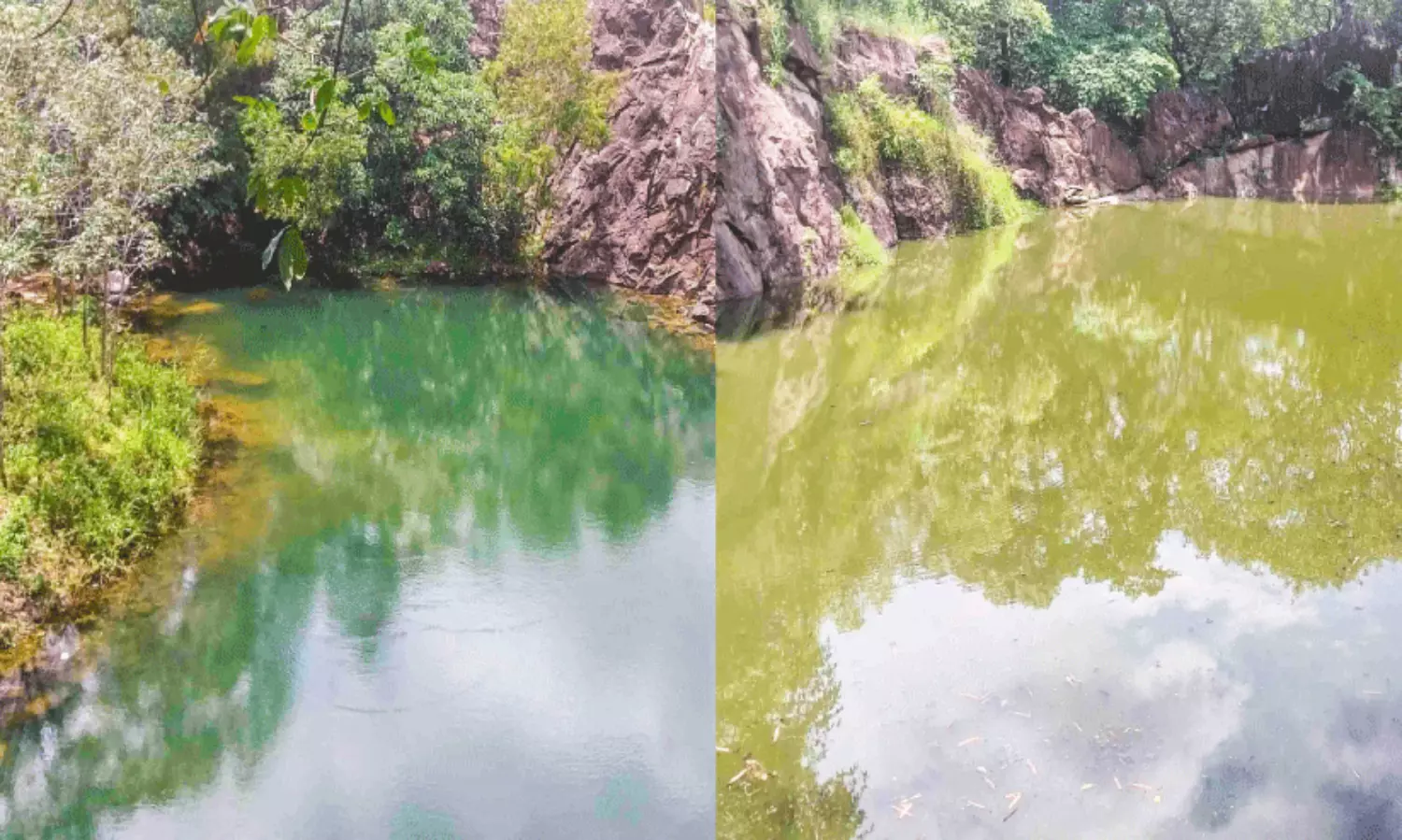 അപകട ഭീഷണി ഉയർത്തി പാറമട കുളങ്ങൾ