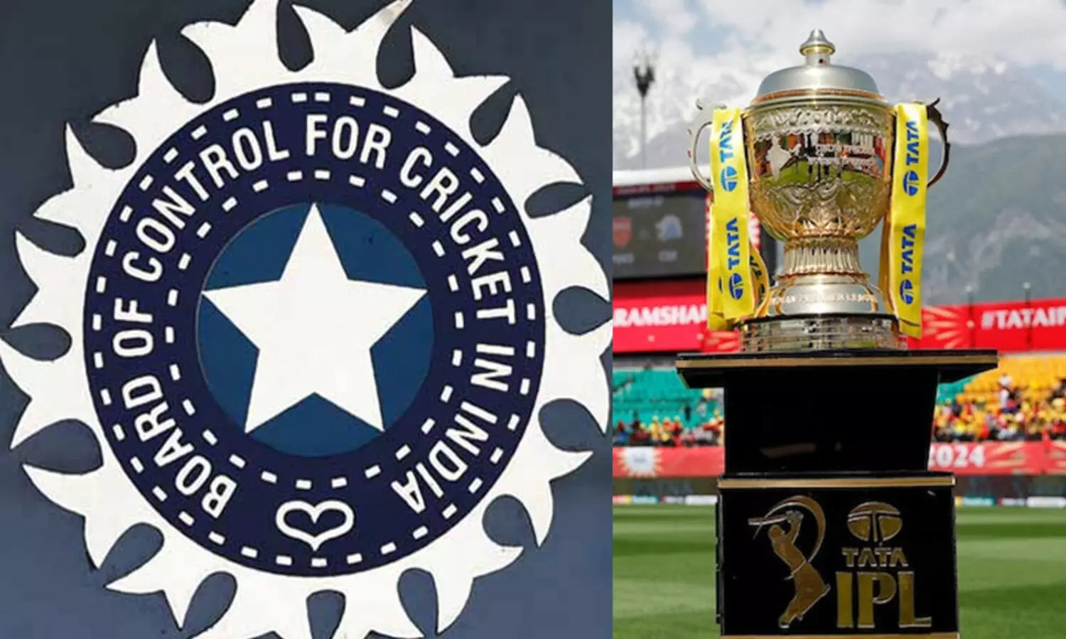 2023ൽ ഐ.പി.എല്ലിൽ നിന്ന് മാത്രം ബി.സി.സി.ഐയുടെ വരുമാനം 11,769 കോടി; ലാഭം 5120 കോടി