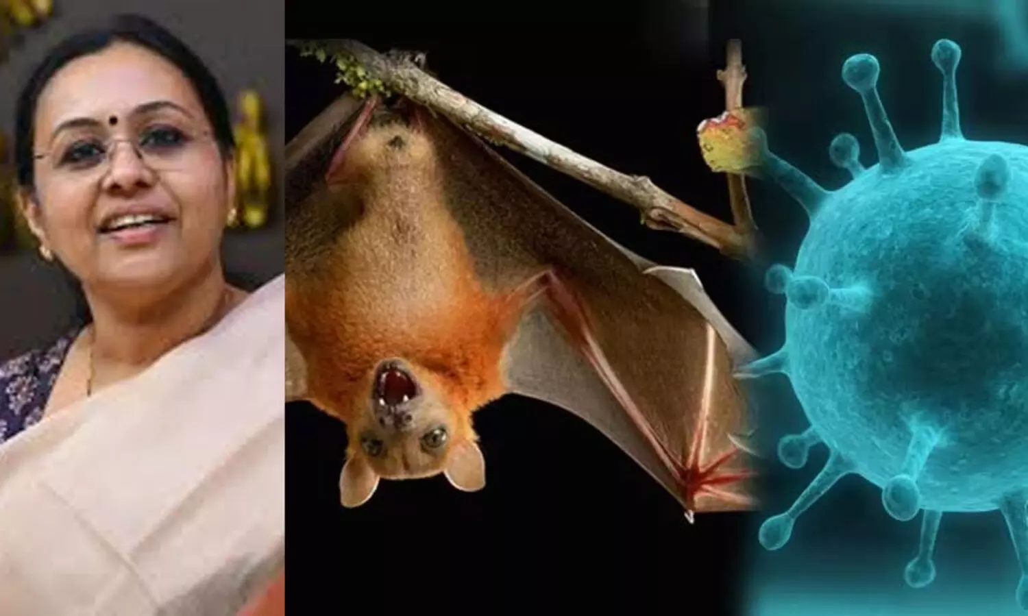 നിപ പ്രതിരോധം വിജയം: മലപ്പുറം നിപ മുക്തം