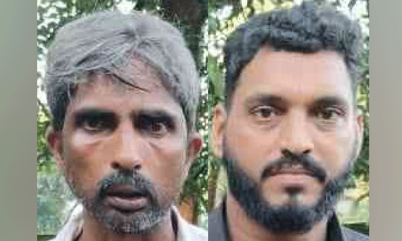 ആ​റു​കി​ലോ ക​ഞ്ചാ​വു​മാ​യി ര​ണ്ടു​പേ​ർ അ​റ​സ്റ്റി​ൽ