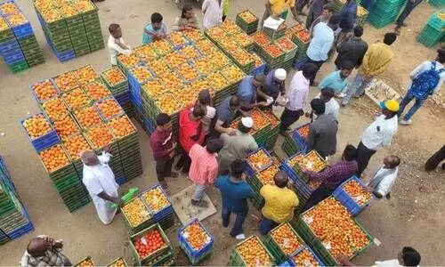 ബം​ഗ്ലാ​ദേ​ശ് ഇം​പാ​ക്ട്; സെ​ഞ്ച്വ​റി ക​ട​ന്ന ത​ക്കാ​ളി വി​ല കു​ത്ത​നെ ഇ​ടി​ഞ്ഞു