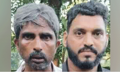 ആ​റു​കി​ലോ ക​ഞ്ചാ​വു​മാ​യി ര​ണ്ടു​പേ​ർ അ​റ​സ്റ്റി​ൽ