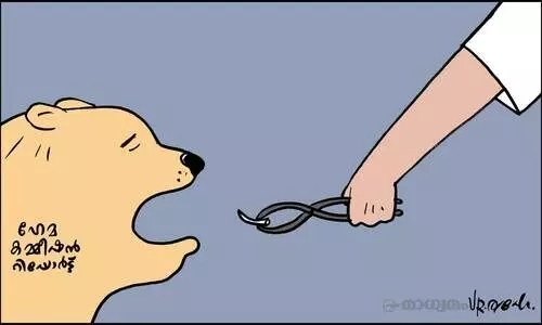 പല്ലു കൊഴിച്ച സിംഹം