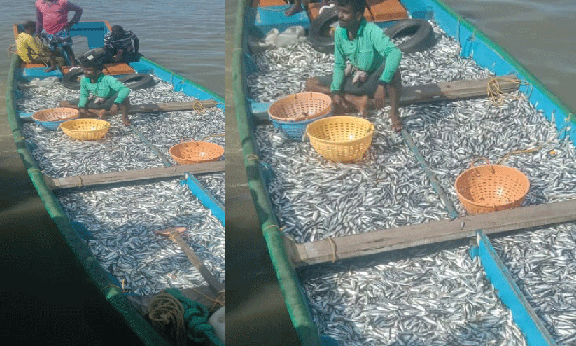 ചെ​റു​മീ​ൻ പി​ടു​ത്തം: തോ​ണി​ക​ൾ ക​സ്റ്റ​ഡി​യി​ൽ