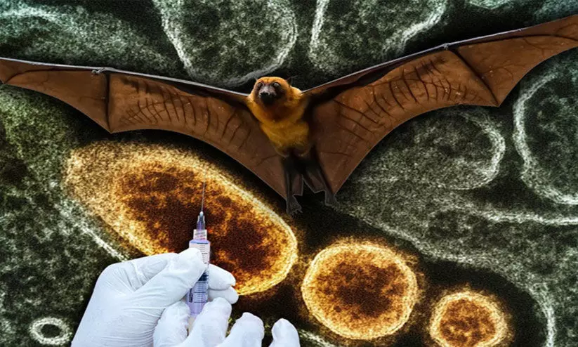 പ്ര​തി​രോ​ധം വി​ജ​യം; നി​യ​ന്ത്ര​ണ​ം പൂ​ര്‍ണ​മാ​യി ഒ​ഴി​വാ​ക്കി