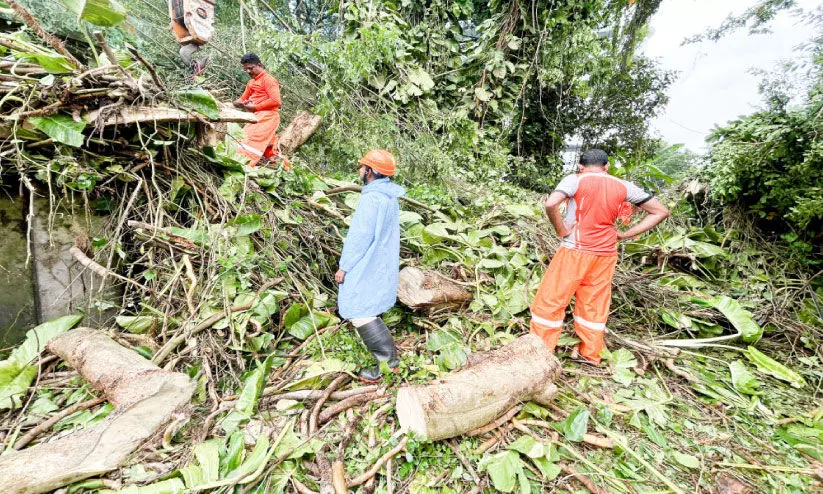 ആലപ്പുഴയിൽ ആഞ്ഞുവീശി കനത്തകാറ്റ്; വ്യാപകനാശം, 51 വീടുകൾ തകർന്നു ആലപ്പുഴയിൽ ആഞ്ഞുവീശി കനത്തകാറ്റ്; വ്യാപകനാശം, 51 വീടുകൾ തകർന്നു