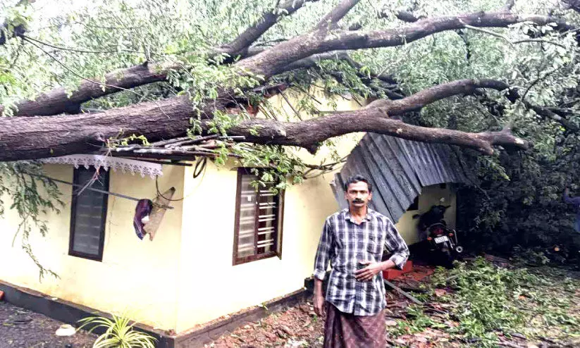 കോട്ടയം ജില്ലയിൽ വ്യാപക നാശനഷ്ടം; വീശിയടിച്ച് കാറ്റ് കോട്ടയം ജില്ലയിൽ വ്യാപക നാശനഷ്ടം; വീശിയടിച്ച് കാറ്റ്