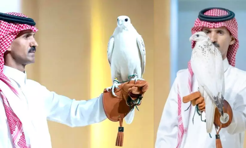 അൾട്രാ വൈറ്റ് അൾട്രാ വൈറ്റ്