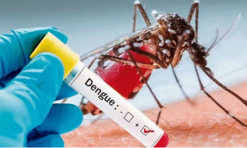 dengue fever