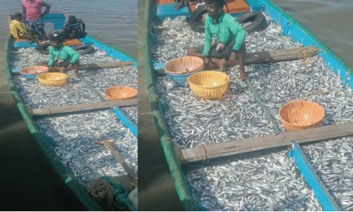 ചെ​റു​മീ​ൻ പി​ടു​ത്തം: തോ​ണി​ക​ൾ ക​സ്റ്റ​ഡി​യി​ൽ