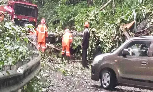 മ​ല​യോ​ര മേ​ഖ​ല​യി​ൽ വ്യാ​പ​ക നാ​ശം; കാറ്റിൽ വിറങ്ങലിച്ച്​ പ​ത്ത​നം​തി​ട്ട