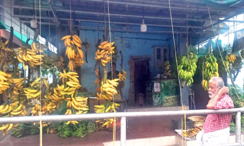 ചെറുപഴത്തിന് റെക്കോഡ് വില ചെറുപഴത്തിന് റെക്കോഡ് വില