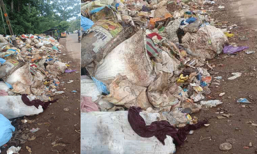 ആനപ്പാറയെ മറ്റൊരു ഞെളിയൻപറമ്പ് ആക്കുമോ? റോ​ഡ​രി​കി​ൽ മാ​ലി​ന്യ​ക്കൂ​മ്പാ​രം