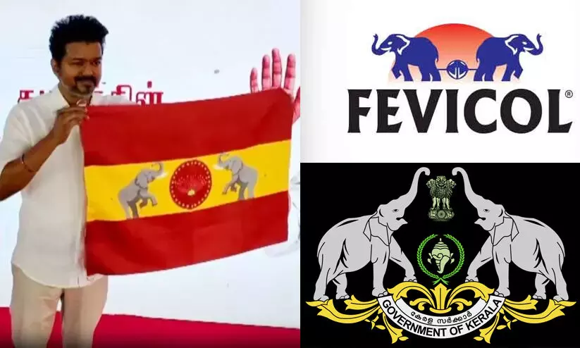 ‘സ്പാനിഷ് പതാകയിൽ ഫെവികോളിന്റെ പരസ്യമോ അതോ കേരള സർക്കാർ ലോഗോയോ’; വിജയ് യുടെ പാർട്ടി പതാകയിലെ ‘ആന’ക്കാര്യം ചർച്ചയാക്കി സോഷ്യൽ മീഡിയ