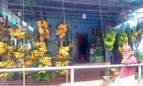 ചെറുപഴത്തിന് റെക്കോഡ് വില