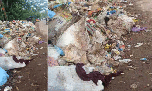 ആനപ്പാറയെ മറ്റൊരു ഞെളിയൻപറമ്പ് ആക്കുമോ? റോ​ഡ​രി​കി​ൽ മാ​ലി​ന്യ​ക്കൂ​മ്പാ​രം