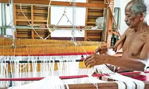 Handloom Sector