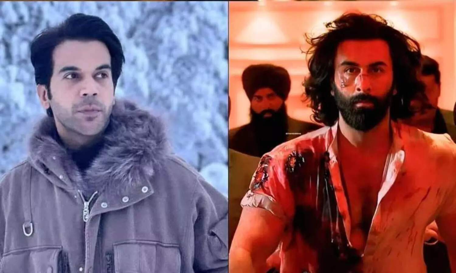 Its Not Named Adarsh Purush: Rajkummar Rao Says He Loved Ranbir Kapoors Animal Despite Its Issues