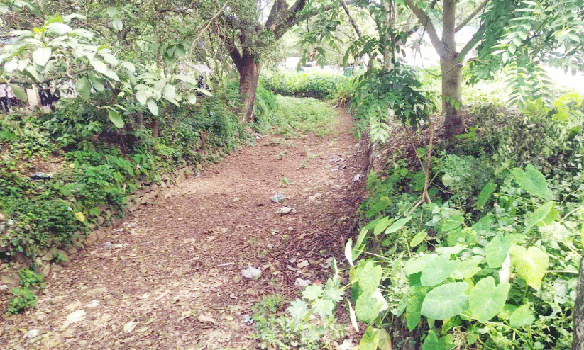 കോട്ടായിയിൽ മിനി ബസ് സ്റ്റാൻഡ് നിർമിക്കുന്നു