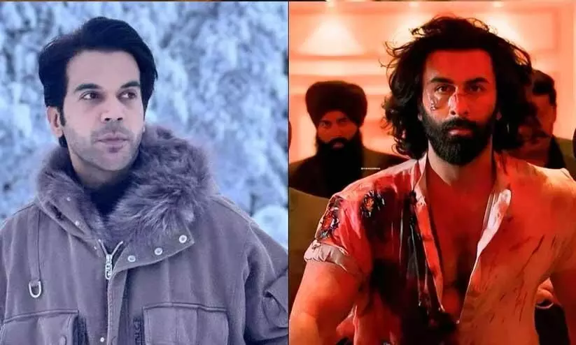 Its Not Named Adarsh Purush: Rajkummar Rao Says He Loved Ranbir Kapoors Animal Despite Its Issues