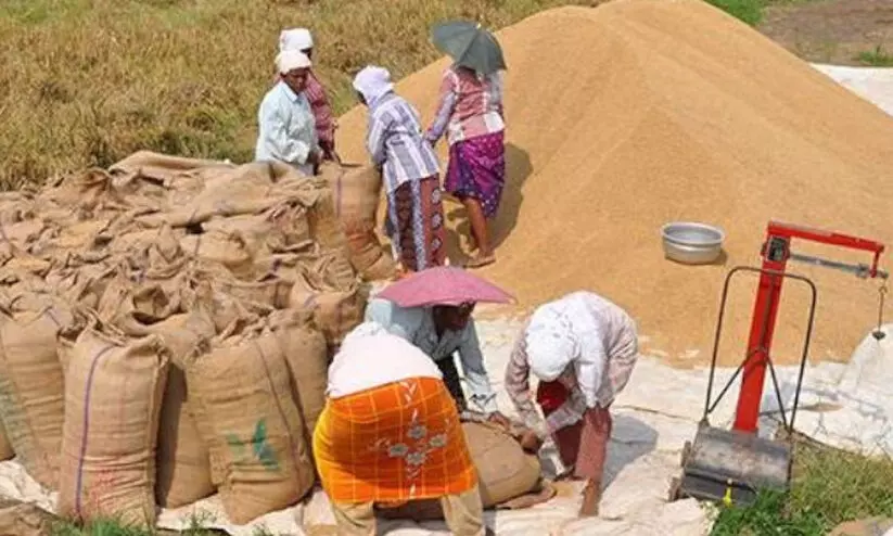 നെല്ല് സംഭരണം: മില്ലുടമകളിൽ നിന്ന് അപേക്ഷ ക്ഷണിച്ചു