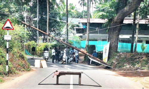 പ​ള്ളൂ​രി​ൽ വൈ​ദ്യു​തി തൂ​ൺ ഒ​ടി​ഞ്ഞു വീ​ണു