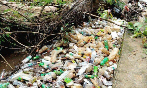 കോർപറേഷൻ ശുചീകരണ തൊഴിലാളികളുടെ മൂക്കിൻതുമ്പിൽ മാലിന്യക്കൂമ്പാരം കോർപറേഷൻ ശുചീകരണ തൊഴിലാളികളുടെ മൂക്കിൻതുമ്പിൽ മാലിന്യക്കൂമ്പാരം