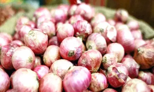 onion price hike