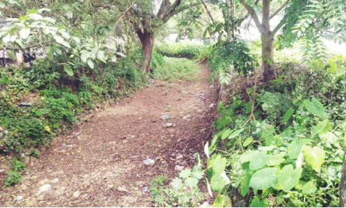 കോട്ടായിയിൽ മിനി ബസ് സ്റ്റാൻഡ് നിർമിക്കുന്നു