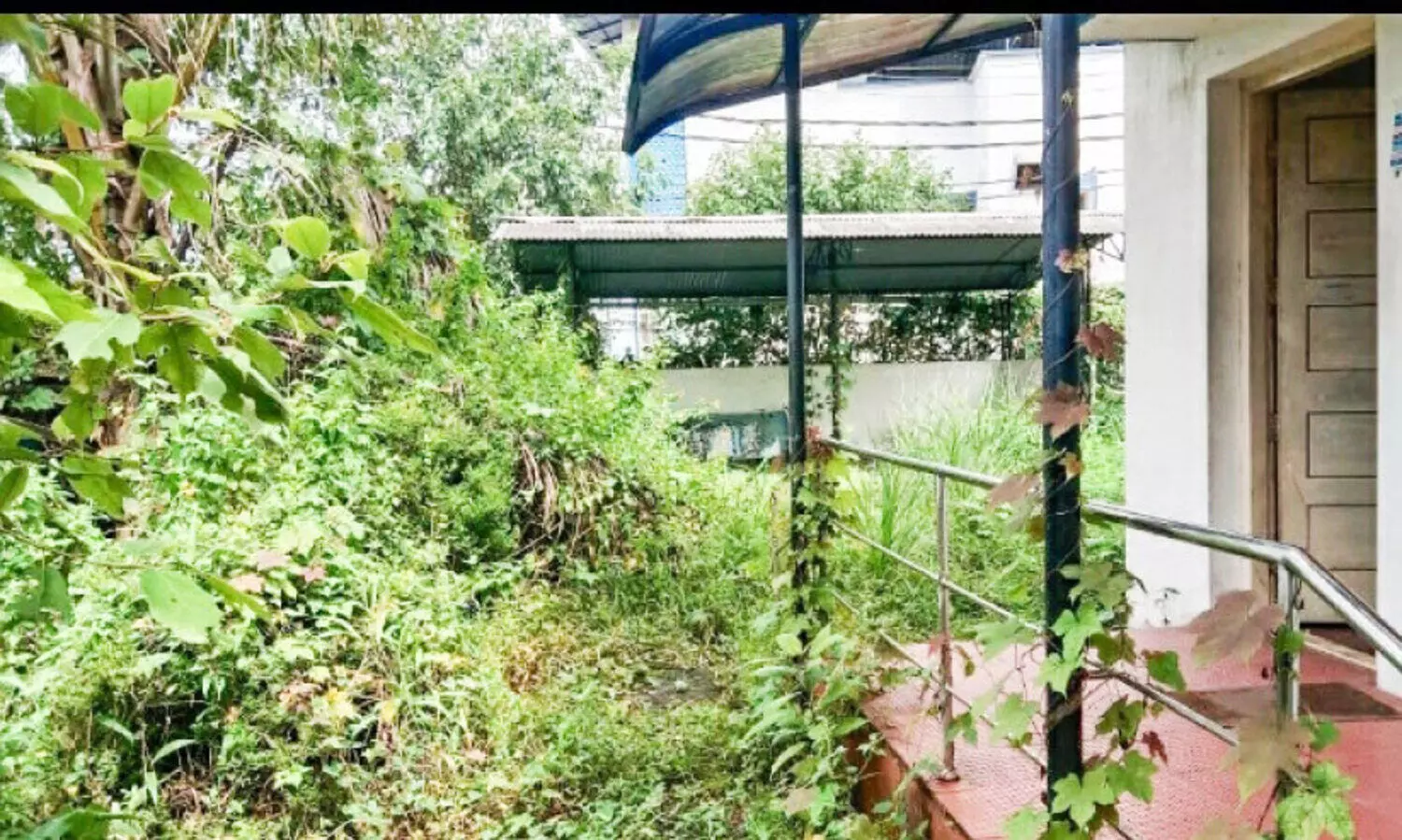 B.S.N.L building covered with forest