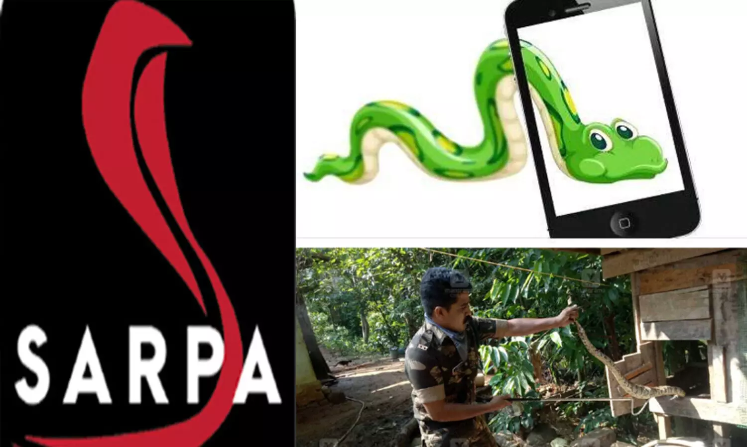 പാമ്പുകളെ ശാസ്ത്രീയമായി കൈകാര്യം ചെയ്യാൻ പരിശീലനം ലഭിച്ചവരിൽ ഭൂരിഭാഗവും സർപ്പ ആപ്പിൽ രജിസ്‌റ്റർ ചെയ്തിട്ടില്ലെന്ന് റിപ്പോർട്ട്