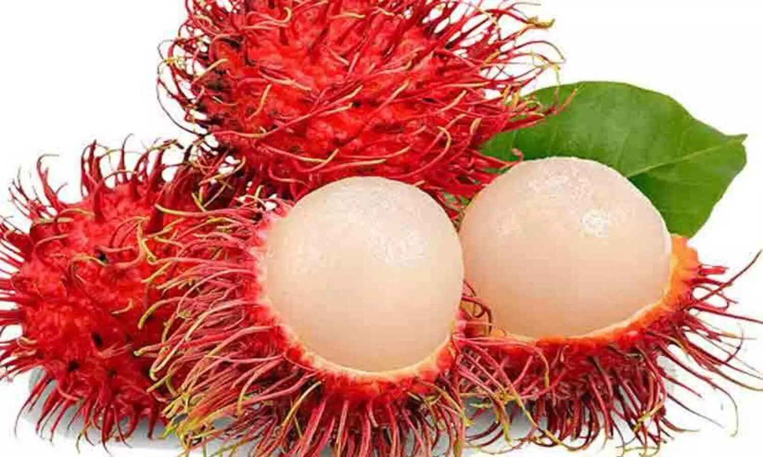 റമ്പൂട്ടാന്‍ കുരു തൊണ്ടയിൽ കുടുങ്ങി എട്ടു മാസം പ്രായമുള്ള കുഞ്ഞ് മരിച്ചു