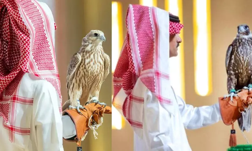 falcon auction falcon auction