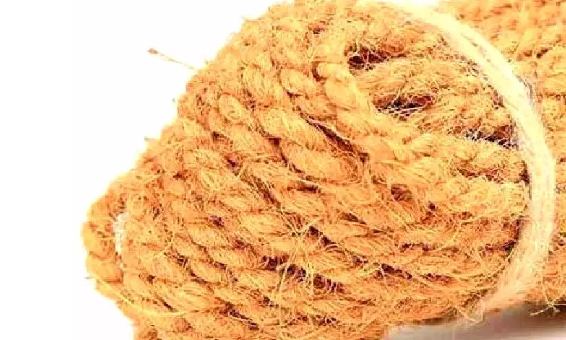 കയർ മേഖലക്ക് പ്രതീക്ഷയായി ഓണക്കാലം