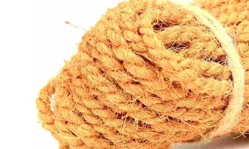 കയർ മേഖലക്ക് പ്രതീക്ഷയായി ഓണക്കാലം