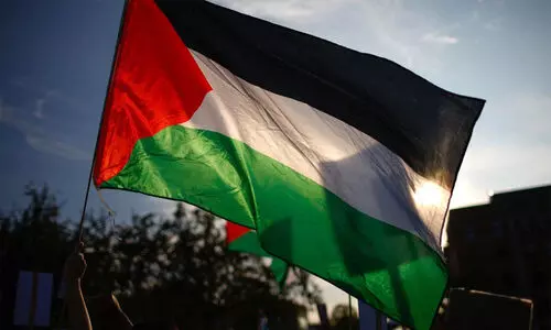 solidarity with palestine