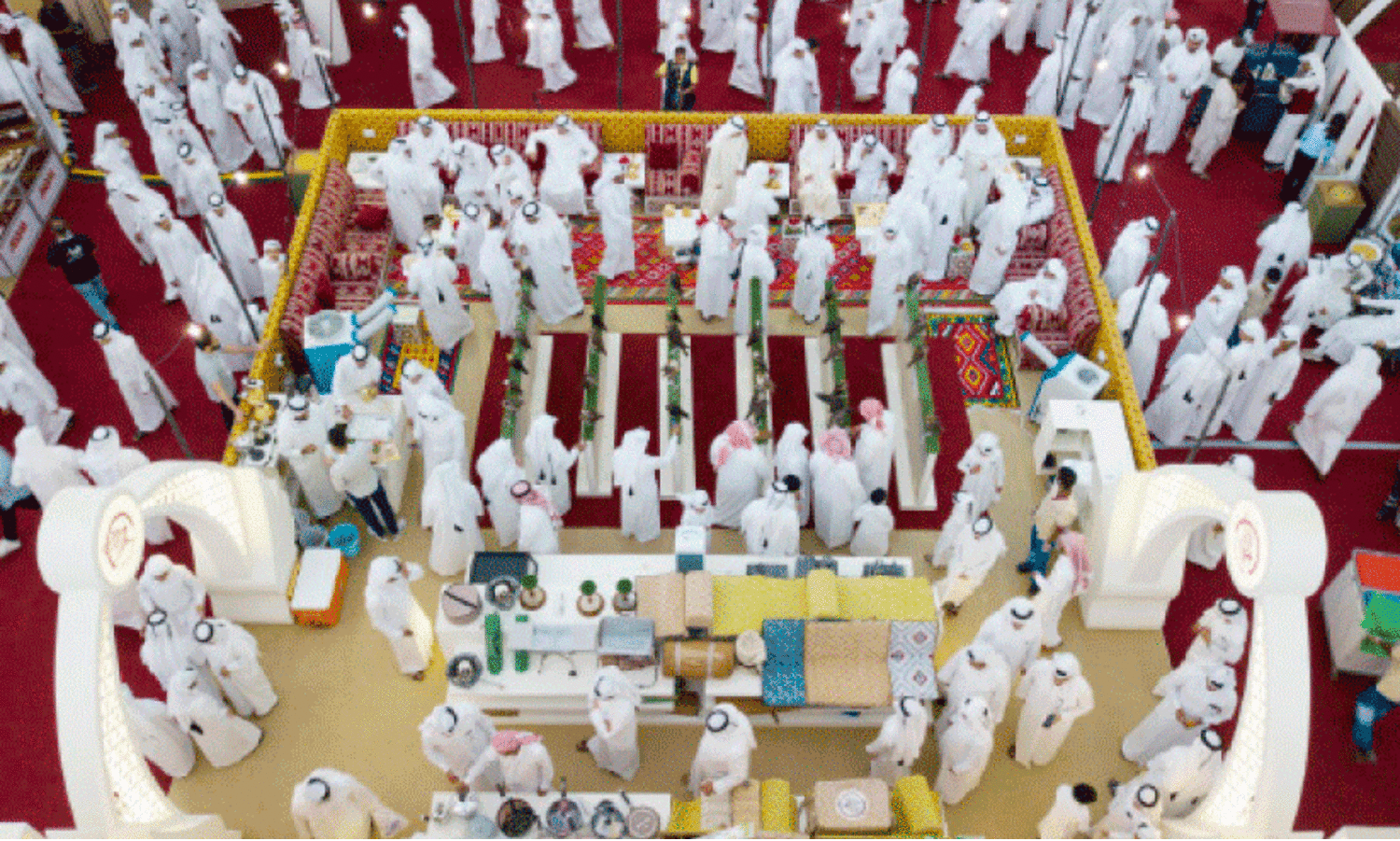 Suhail Falcon Exhibition