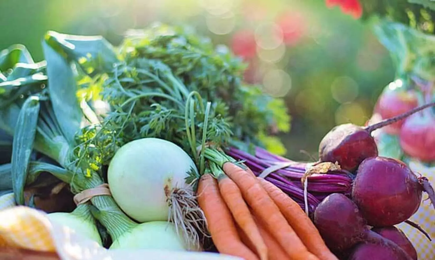 ഓണമുണ്ണാൻ ജൈവ പച്ചക്കറി കൃഷിയുമായി കൃഷി വകുപ്പ്