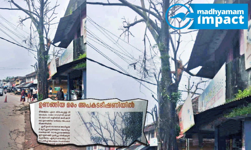 ഒടുവിൽ മുറിച്ചുമാറ്റി ഒടുവിൽ മുറിച്ചുമാറ്റി