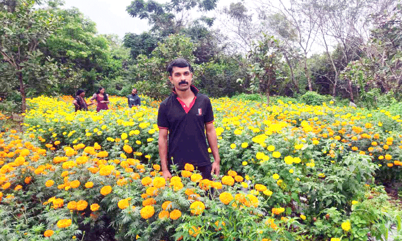 ചെണ്ടുമല്ലി പൂ കണ്ടാൽ... ചെണ്ടുമല്ലി പൂ കണ്ടാൽ...