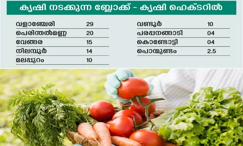 ഓ​ണ വി​പ​ണിയിലെ വി​ല​ക്ക​യ​റ്റം നി​യ​ന്ത്രി​ക്കാ​ൻ 108.5 ഹെ​ക്ട​റി​ൽ പ​ച്ച​ക്ക​റി കൃ​ഷി