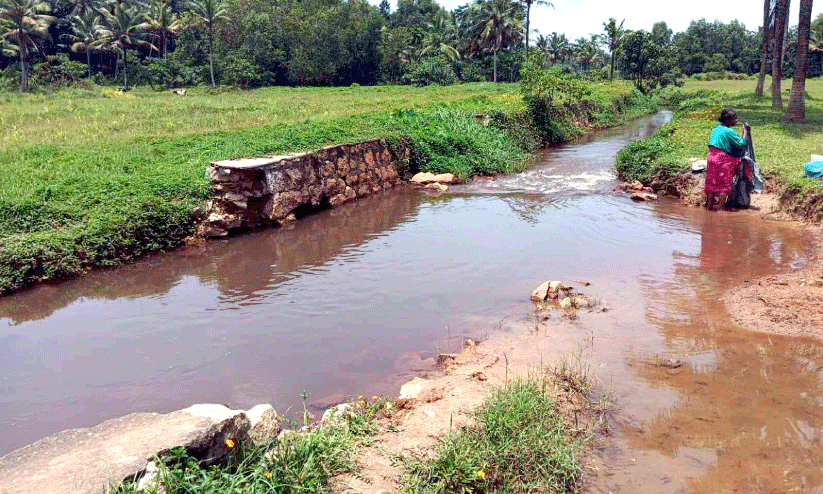 ബജറ്റുകളിൽ കാർഷിക മേഖലക്ക് മുൻഗണന;  പാടങ്ങളും തോടുകളും അകാല മൃത്യുവിലേക്ക്