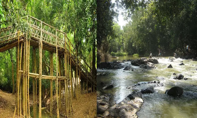 വിനോദസഞ്ചാര പ്രവർത്തനങ്ങൾ മനുഷ്യ -വന്യജീവി സംഘർഷം വർധിപ്പിക്കുന്നുവെന്ന് റിപ്പോർട്ട് വിനോദസഞ്ചാര പ്രവർത്തനങ്ങൾ മനുഷ്യ -വന്യജീവി സംഘർഷം വർധിപ്പിക്കുന്നുവെന്ന് റിപ്പോർട്ട്