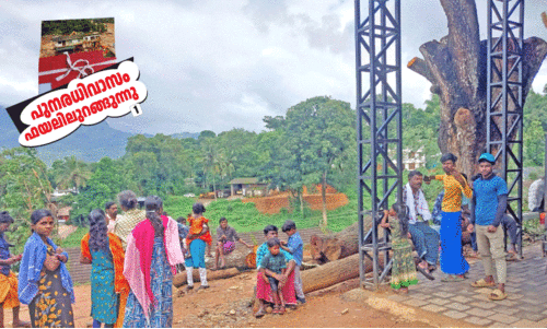 ആ​റുവ​ർ​ഷ​ത്തി​ന് ശേ​ഷ​വും ആ​ദി​വാ​സി​ക​ൾ മ​ല​മു​ക​ളി​ൽ​ത​ന്നെ