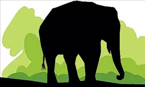 കാ​ട്ടാ​ന ആ​ക്ര​മ​ണ​ത്തി​ൽ ക​ർ​ഷ​ക​ൻ കൊ​ല്ല​പ്പെ​ട്ടു