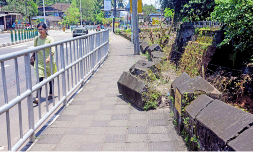 മതിലിടിച്ചിലും ഉയരക്കുറവും; കനോലി കനാൽ ഓരത്ത് അപകടാവസ്ഥ