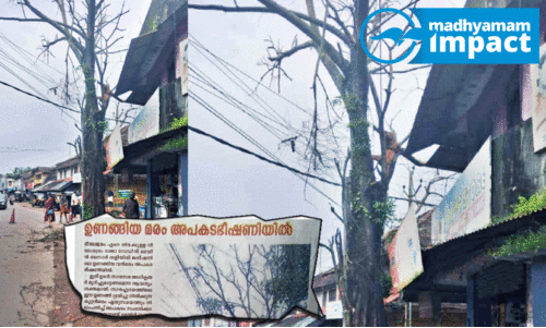 ഒ​ടു​വി​ൽ മു​റി​ച്ചു​മാ​റ്റി