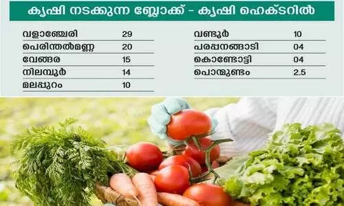 ഓ​ണ വി​പ​ണിയിലെ വി​ല​ക്ക​യ​റ്റം നി​യ​ന്ത്രി​ക്കാ​ൻ 108.5 ഹെ​ക്ട​റി​ൽ പ​ച്ച​ക്ക​റി കൃ​ഷി