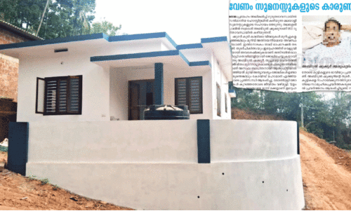 Expatriate organizations